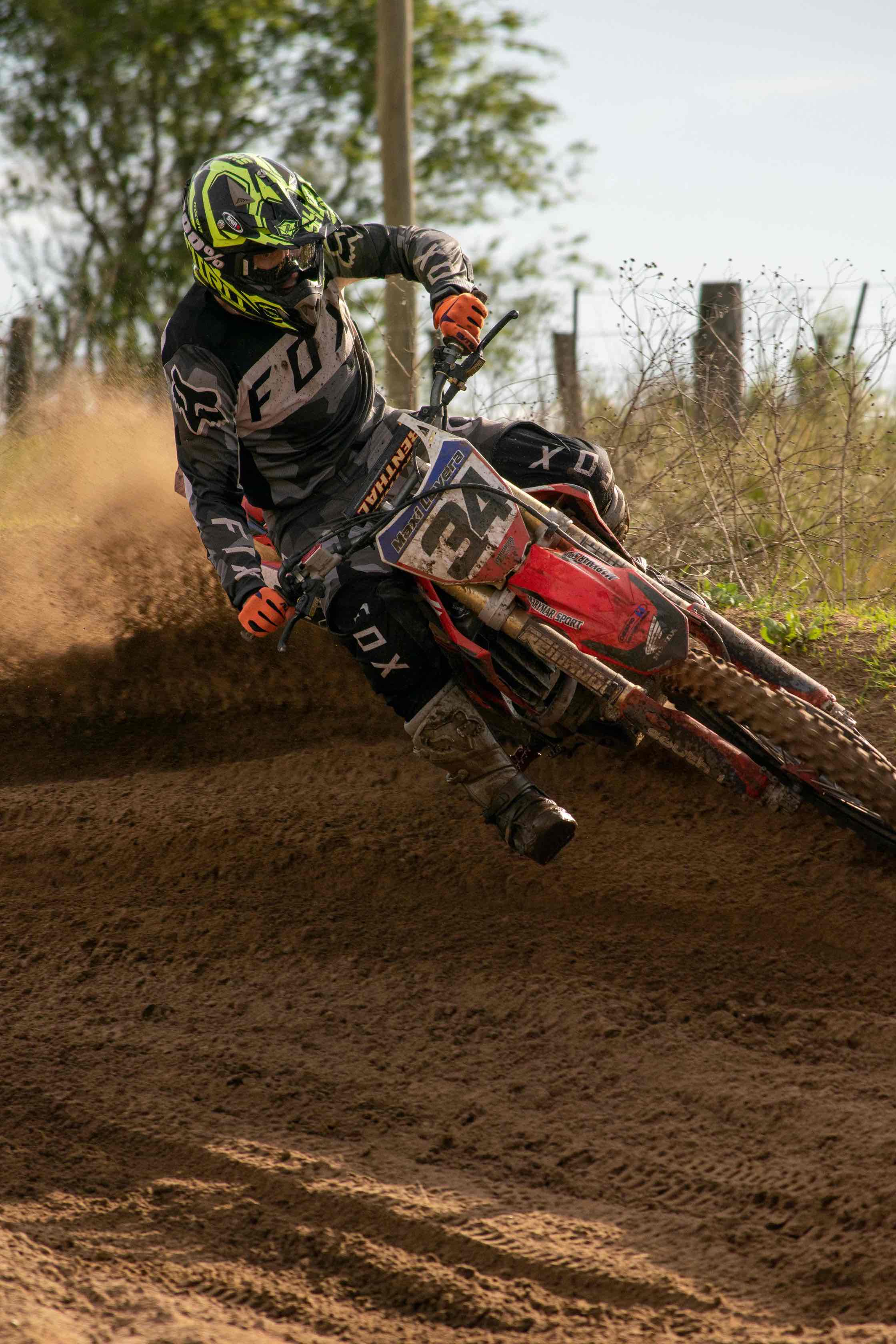 Cover photo of Pomposa